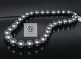LILY TREACY 10.5-15.5MM TAHITIAN PEARL GRADUATE STRAND REBECCA NECKLACE