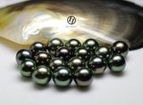 LILY TREACY 10.5-15.5MM TAHITIAN PEARL GRADUATE STRAND REBECCA NECKLACE
