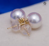 Japanese Akoya Saltwater Pearl 18K Solid yellow, white or rose gold Stud Earrings 8.5-9mm; 9-9.5mm or 9.5-10mm Bridal June birthstone by Lily Treacy