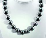 15-16mm Large Top Quality SEASHELL Pearl Strand Necklace white black gold 18