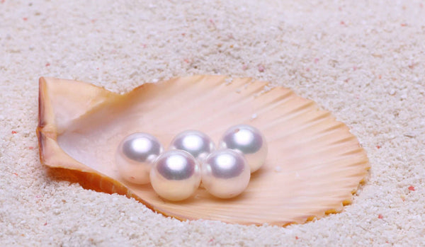 Akoya Pearl Drop Dangle Hook Earrings 18K Solid Gold white bridal 7.5-8, 8-8.5, 8.5-9, 9-9.5, 9.5-10mm by Lily Treacy