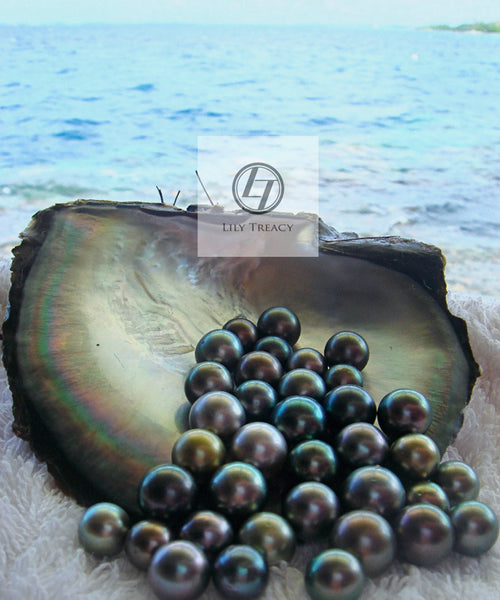 Lily Treacy Japanese Akoya pearl & Tahitian pearl solid gold Bianca combination earrings bridal