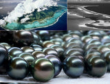 Tahitian Black Pearl 11-12mm 18K White Gold Adjustable Pendant Necklace Up to 20
