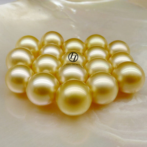 Lily Treacy 10-11mm Golden South Sea Pearl 14K Maria Pendant with Yellow Gold vermeil Chain
