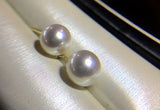 Lily Treacy Japanese Akoya Saltwater Pearl 18K Solid Yellow, White Or Rose Gold Stud Earrings 7.5-8mm Bridal June Birthstone