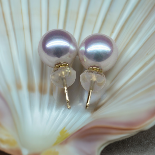 Lily Treacy 8-8.5 mm White Japan Akoya Saltwater Pearl 18K Solid Gold Stud Earrings