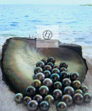 Lily Treacy 10-11mm Tahitian black Pearl Diamond 14K white gold ring sz 7